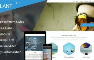 Themeforest : Slant - One Page Responsive Template