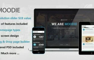 Themeforest : Moodie Multi-Purpose WordPress Theme