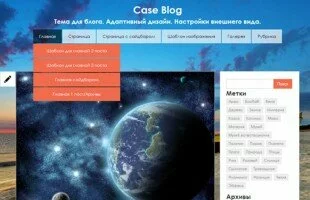 Wordpress Blog - Case