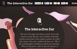 The Interactive Ear