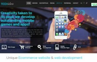 Web development by Techidea