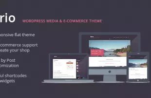 Themeforest : Brio - Media & E-Commerce WordPress Theme