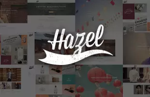 Themeforest : Hazel - Multi-Concept Creative WordPress Theme